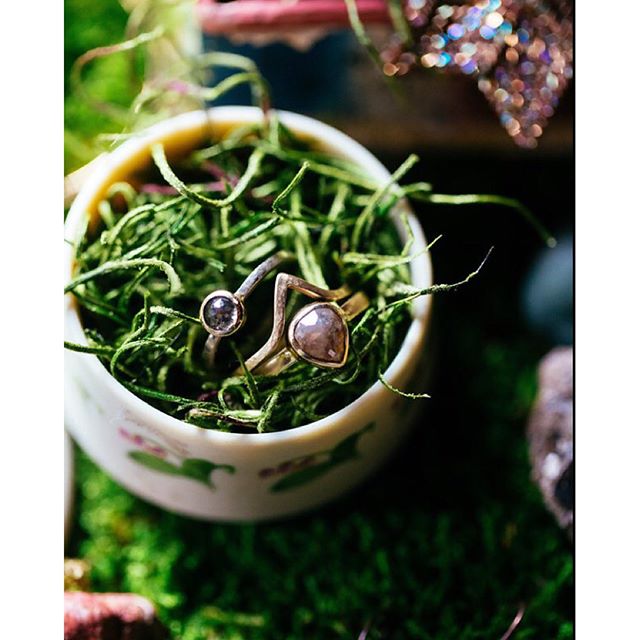 Mossy vibes. Beautiful shoot by @christinakarst + @perfectlytay ?#emilytriplettjewelry #modernjewelry